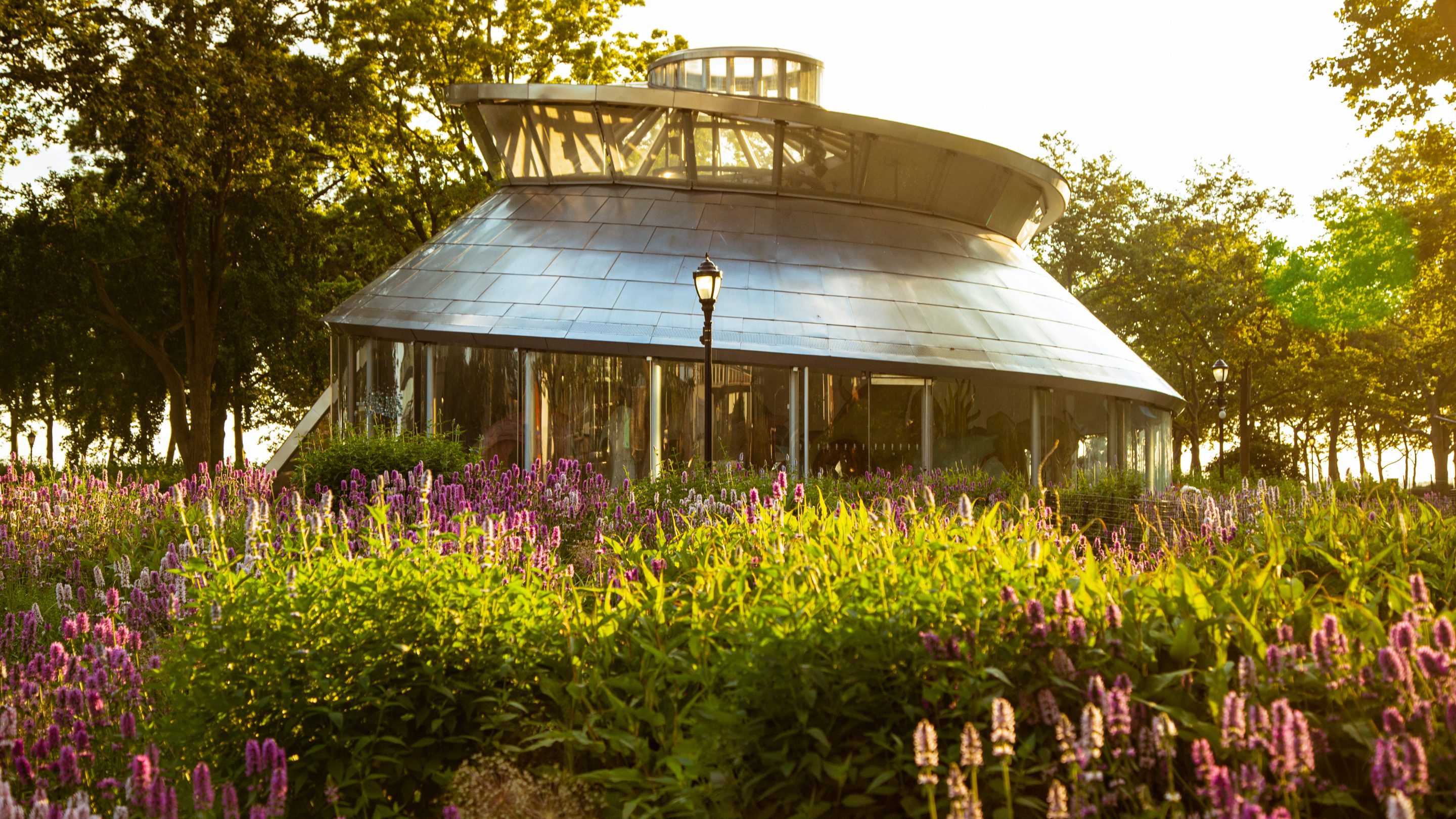 Lower Manhattan School Enrollment 2019