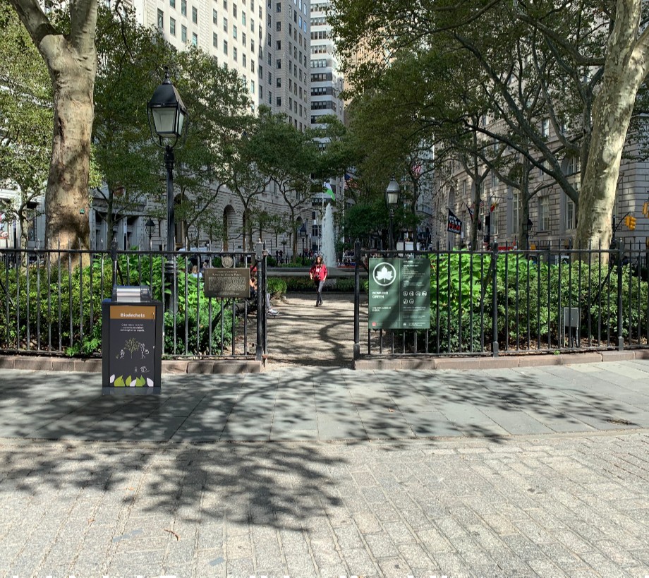 Help Bowling Green Park Leap Into Spring