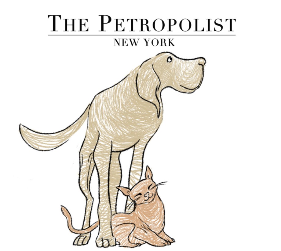 Petropolis’s New Podcast Teaches Animal Lovers What’s Best For Their Pets