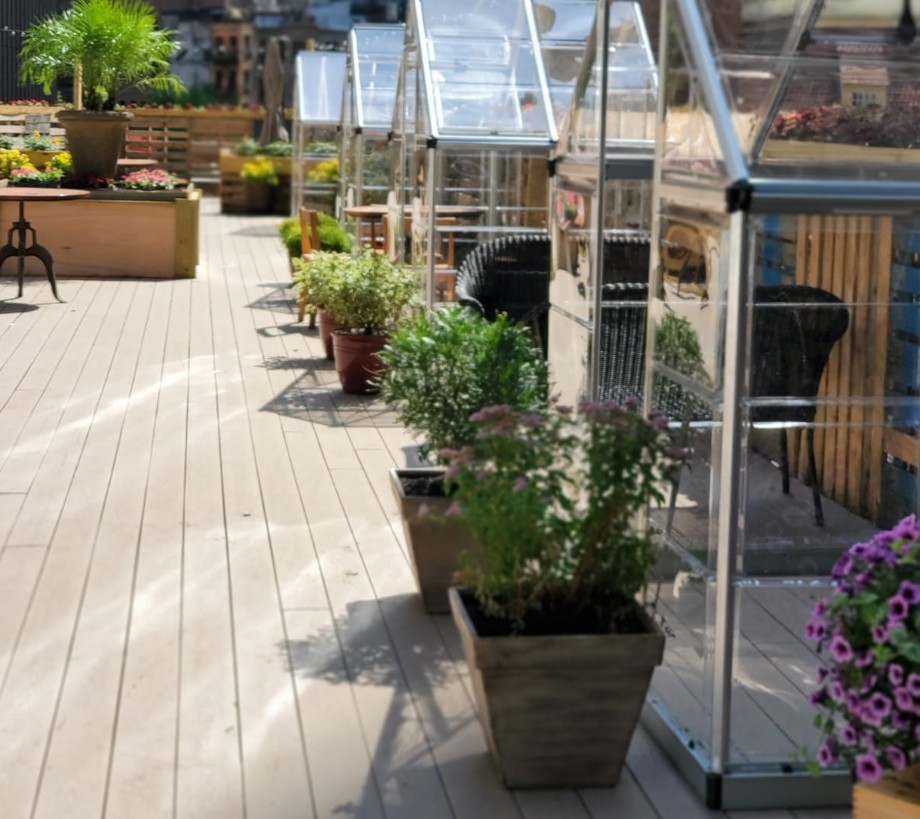 Ampia, Gnoccheria’s Greenhouse Rooftop Bistro, Is Now Open