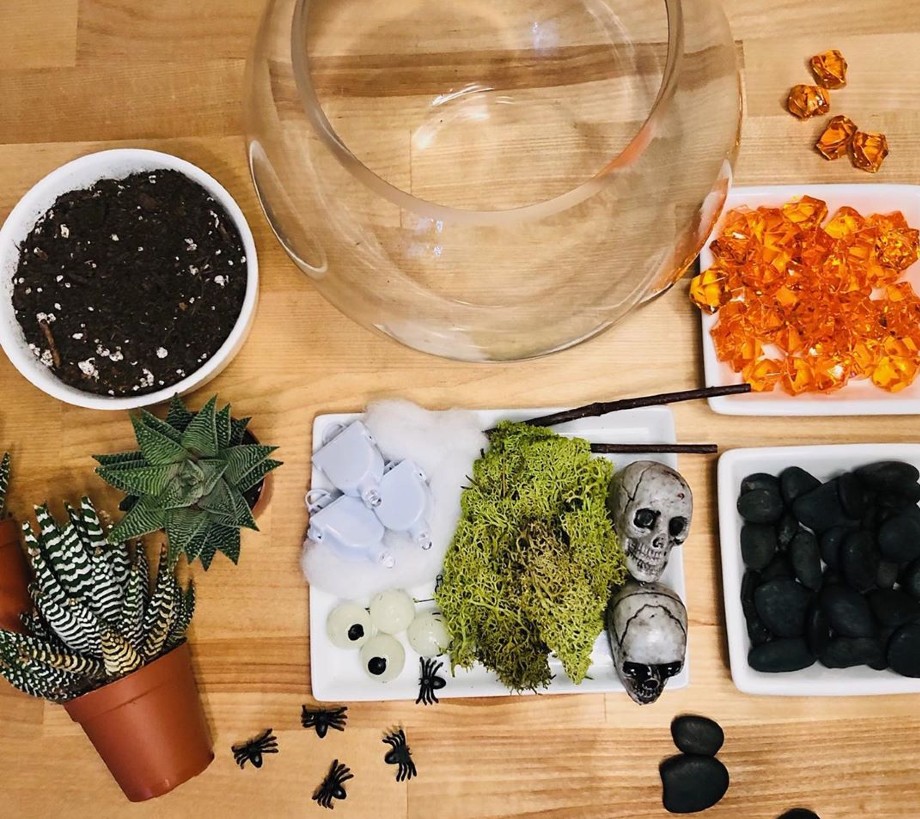 Garden Like A Gravedigger With City Blossoms’ DIY ‘Terrorarium’ Kit