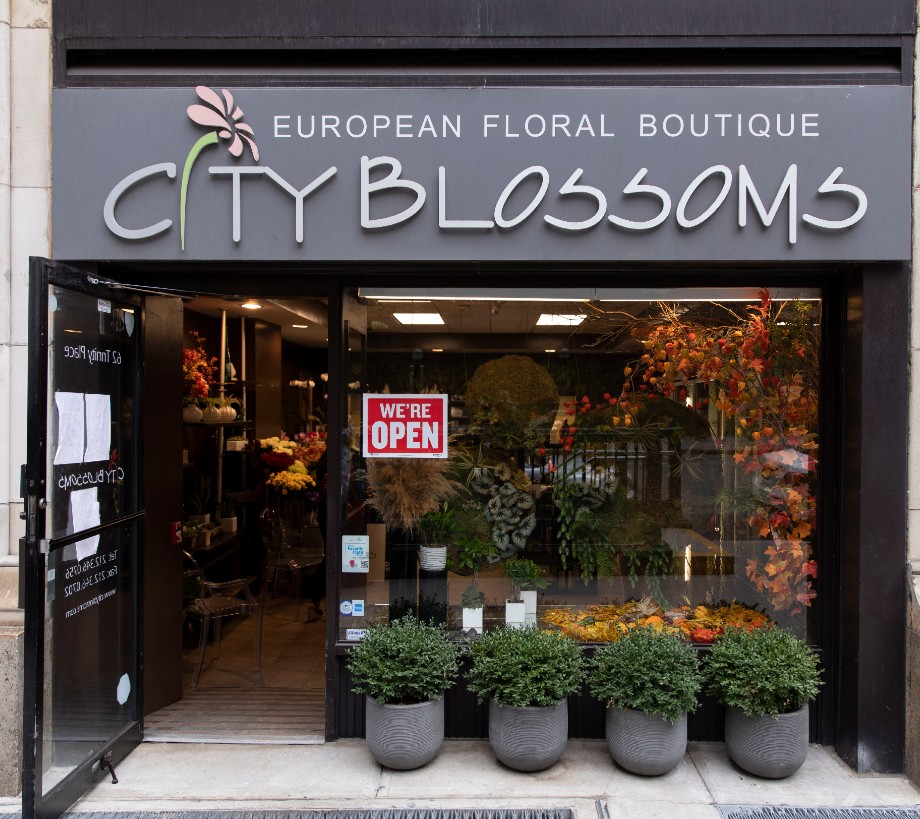 ‘A Great Option For Bringing People Together’ City Blossoms On