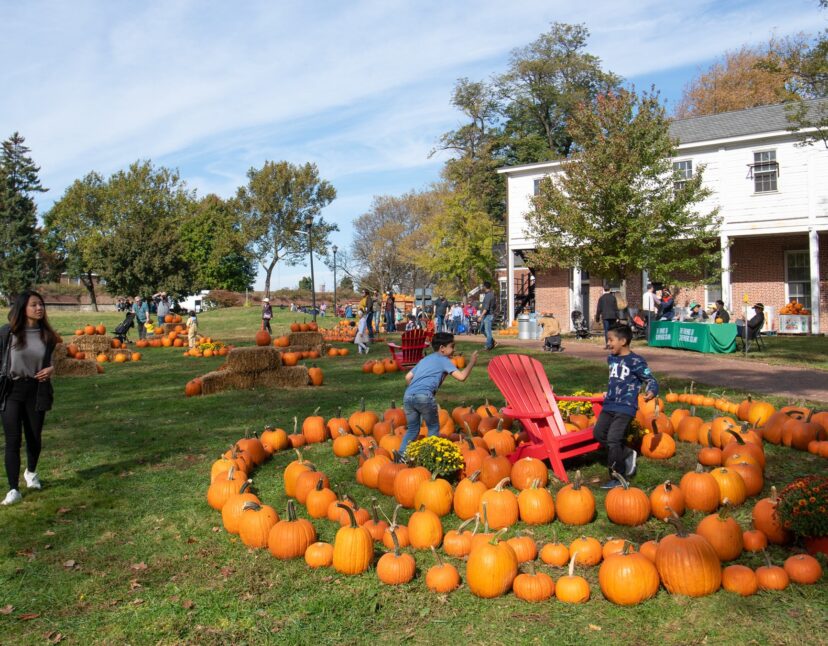 For the Love of Gourd, Check Out These Pumpkin-Themed Events