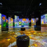 Chagall Show at Hall des Lumières Brings a Piece of Paris to New York