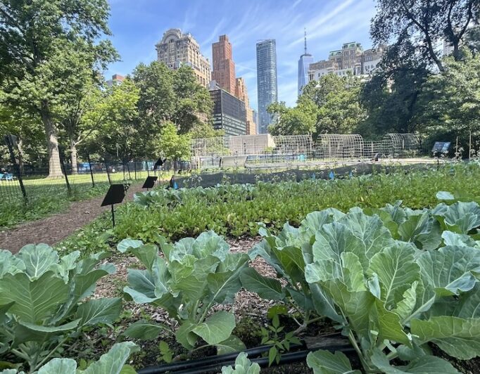 A Look at the Battery Urban Farm, a True Downtown Oasis