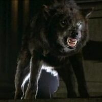New York on Film Screening of Cult Classic “Wolfen” Will Be a Howlin’ Good Time 