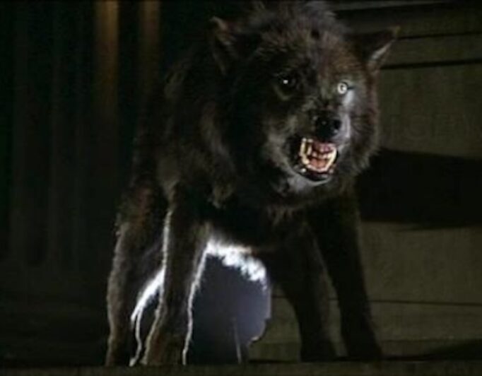 New York on Film Screening of Cult Classic “Wolfen” Will Be a Howlin’ Good Time 