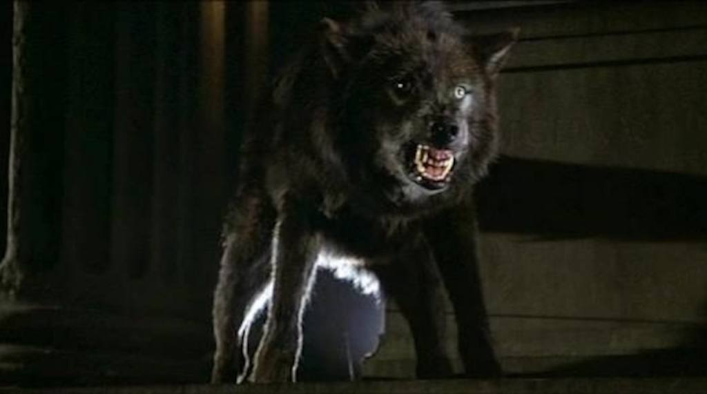 New York on Film Screening of Cult Classic “Wolfen” Will Be a Howlin’ Good Time 