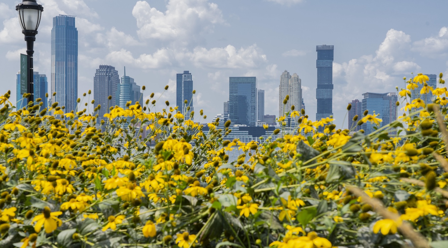 Lower Manhattan Fact Sheet Q4 2024