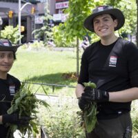 How Does Downtown Stay So Green? Our Horticulture Team! 