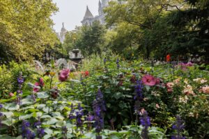 Letter of Recommendation: City Hall Park