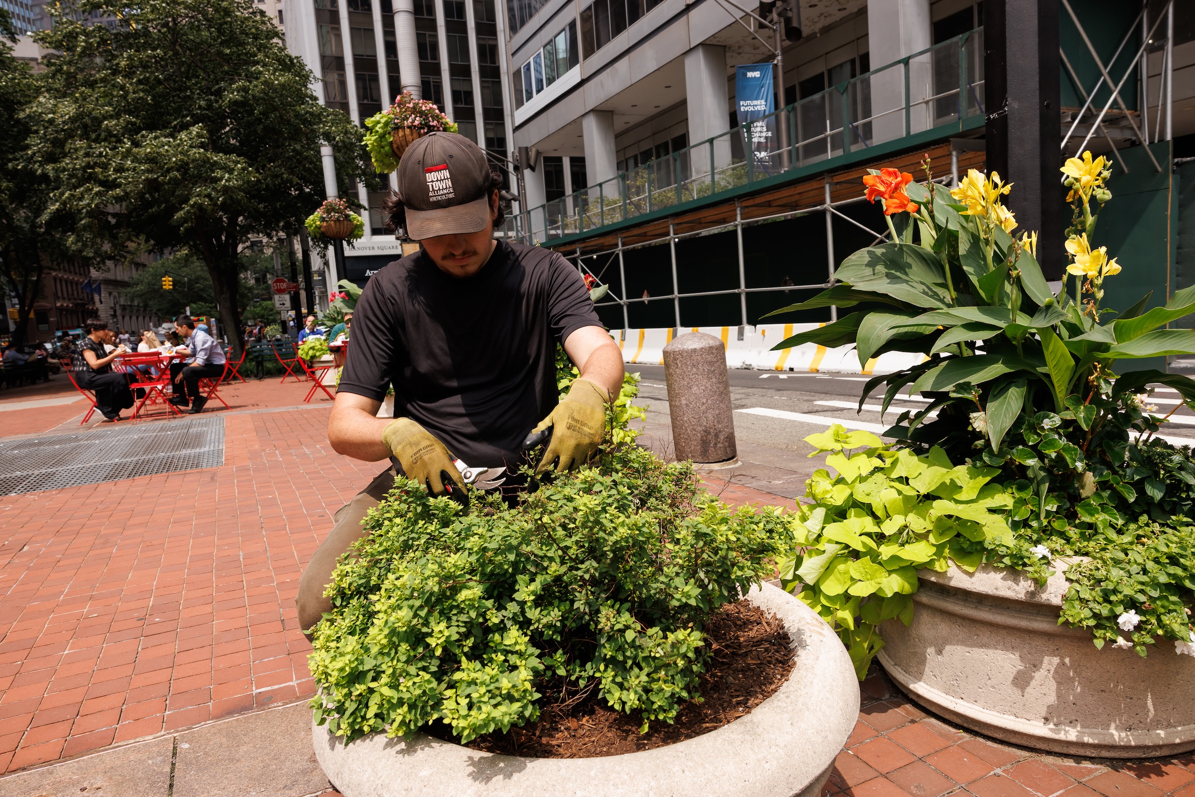 A Downtown Alliance worker clips greenery in a cement planter at a brick-lined park.