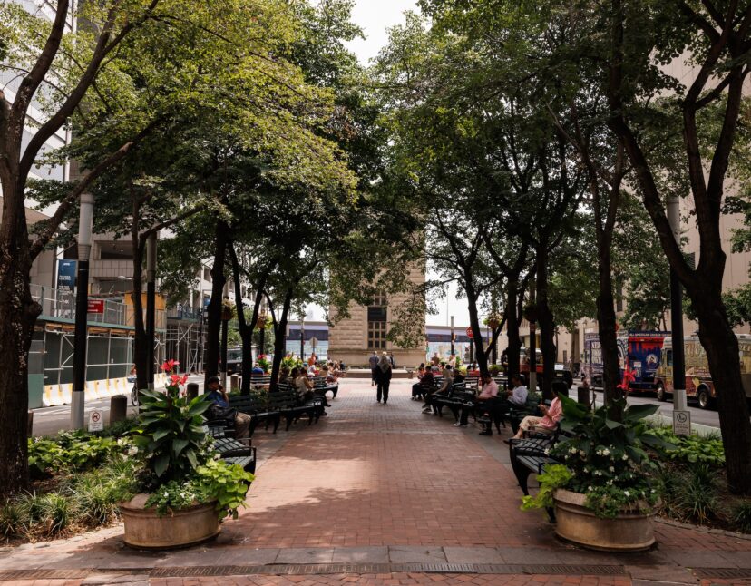 Old Slip Park Has a Brand New Look