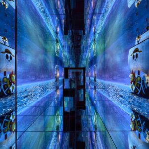 Mercer Labs Collabs With Manga Hit “One Piece” 