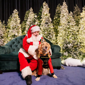 12 Ways to Get Into the Holiday Spirit in Lower Manhattan 