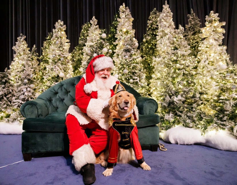 12 Ways to Get Into the Holiday Spirit in Lower Manhattan 