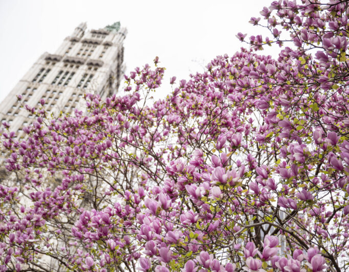 Lower Manhattan Residential Inventory, Q4 2025