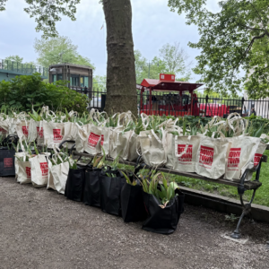 We’re Rooting for You! Our Annual Plant Giveaway Returns May 13