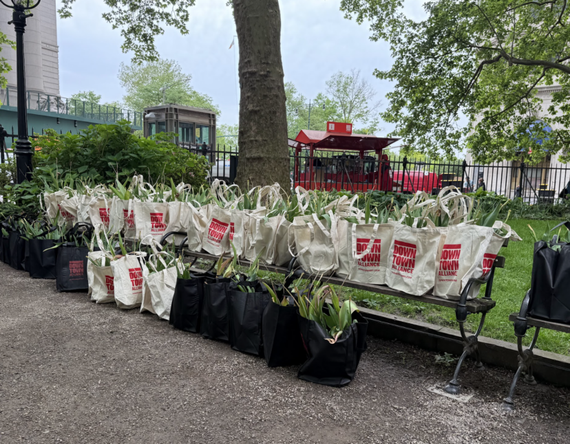 We’re Rooting for You! Our Annual Plant Giveaway Returns May 13