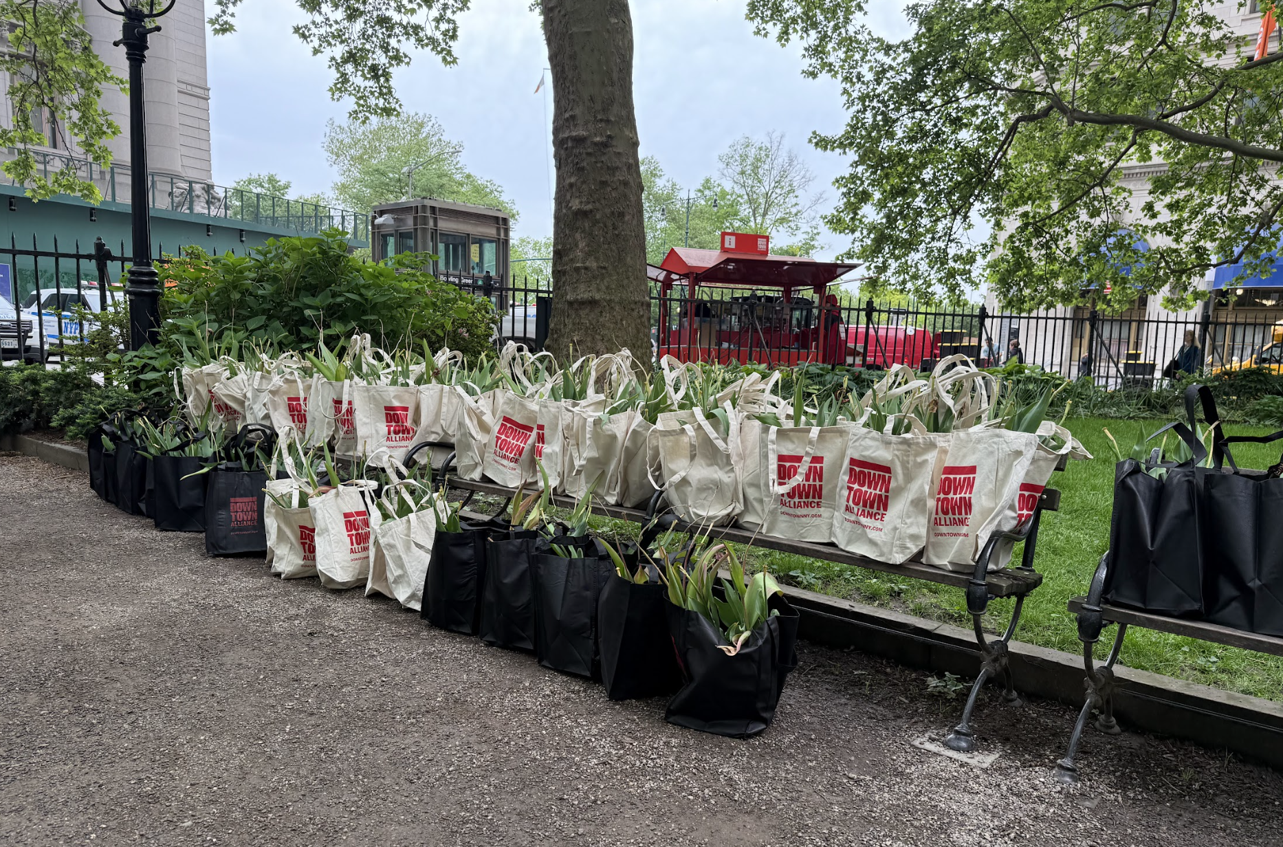 We’re Rooting for You! Our Annual Plant Giveaway Returns May 13