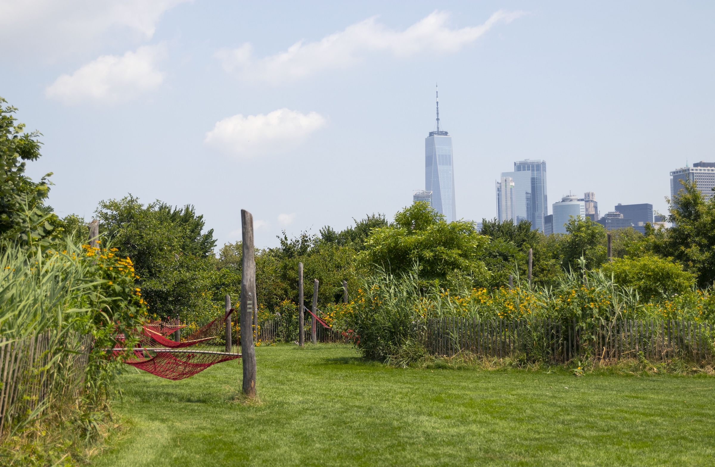 A scenic daytime view looking toward Manhattan from Governors Island. In the foreground, a manicured green grass lawn is bordered by tall reeds, yellow wildflowers, and a rustic wooden picket fence. Several red rope hammocks are strung between tall wooden logs. In the distance, thick green treetops give way to the modern skyscrapers of the Lower Manhattan skyline, dominated by the tall spire of One World Trade Center against a light blue, hazy sky.