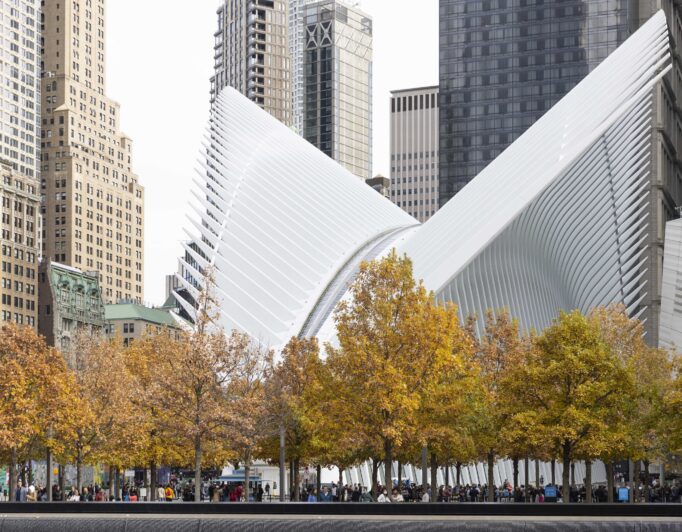 The Oculus Arrives