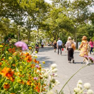 From Forest Bathing to Fishing, Climate Week Hits Battery Park City
