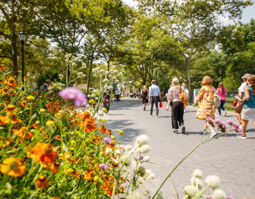 From Forest Bathing to Fishing, Climate Week Hits Battery Park City
