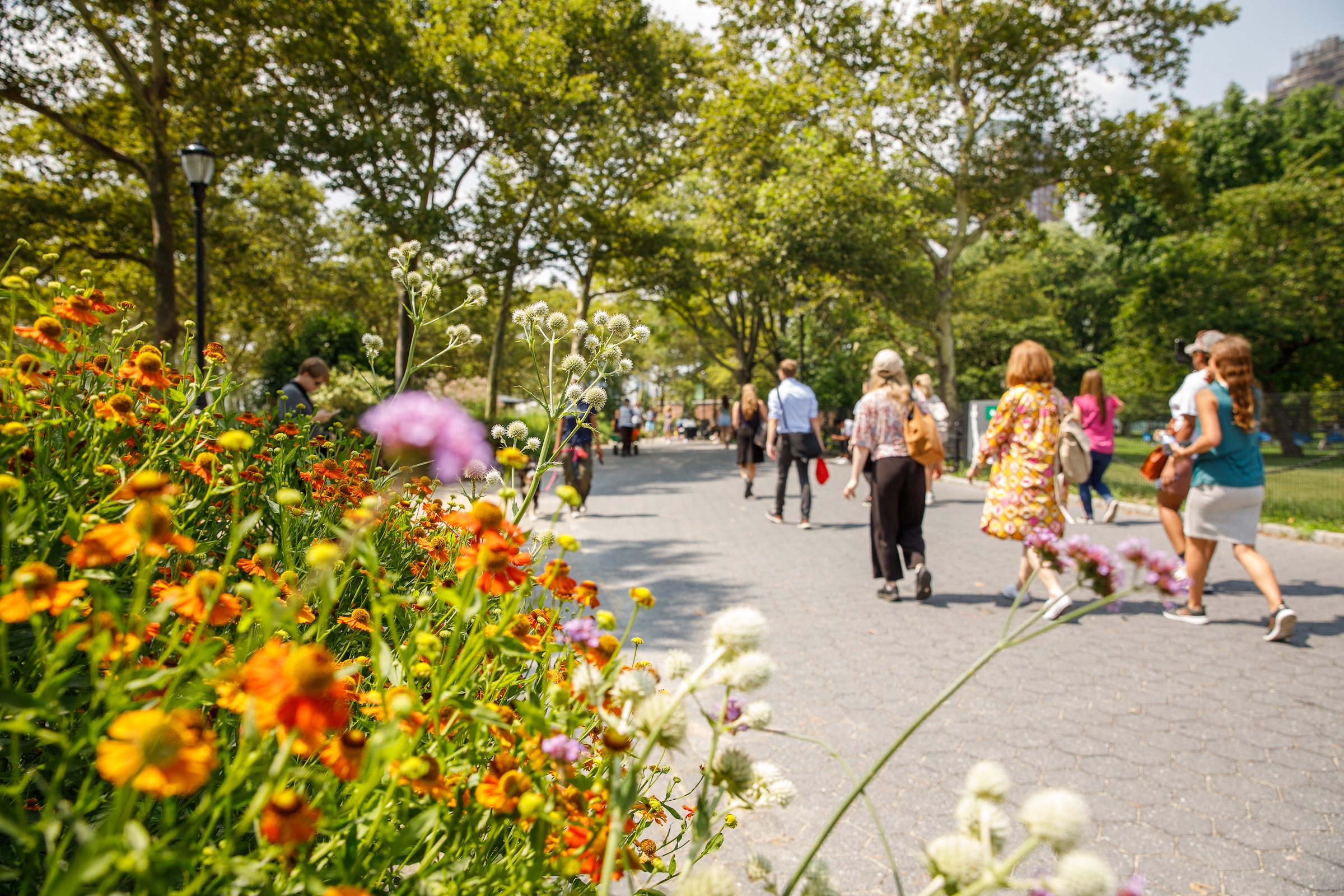 From Forest Bathing to Fishing, Climate Week Hits Battery Park City