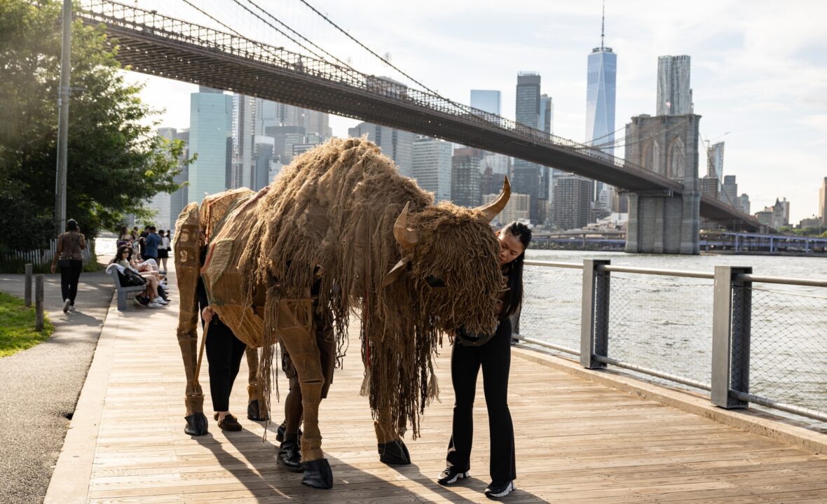The Buffalo Are Coming, the Buffalo Are Coming