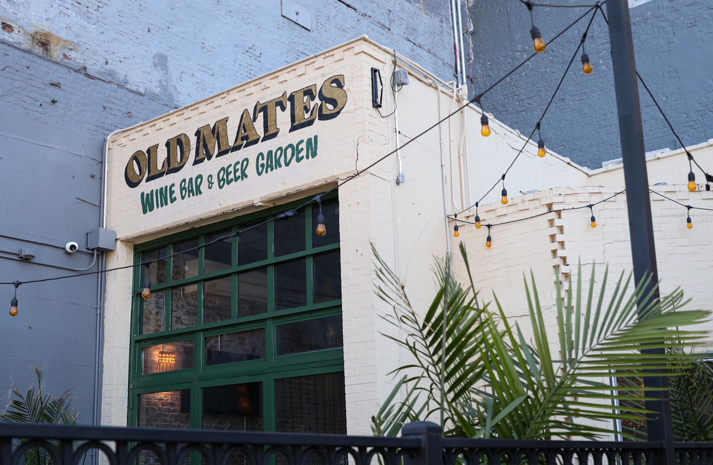 Exterior view of Old Mates Wine Bar & Beer Garden, featuring a cream-colored painted brick facade with dark green framed glass garage doors. Outdoor string lights hang overhead, and palm fronds frame the foreground behind a metal fence.