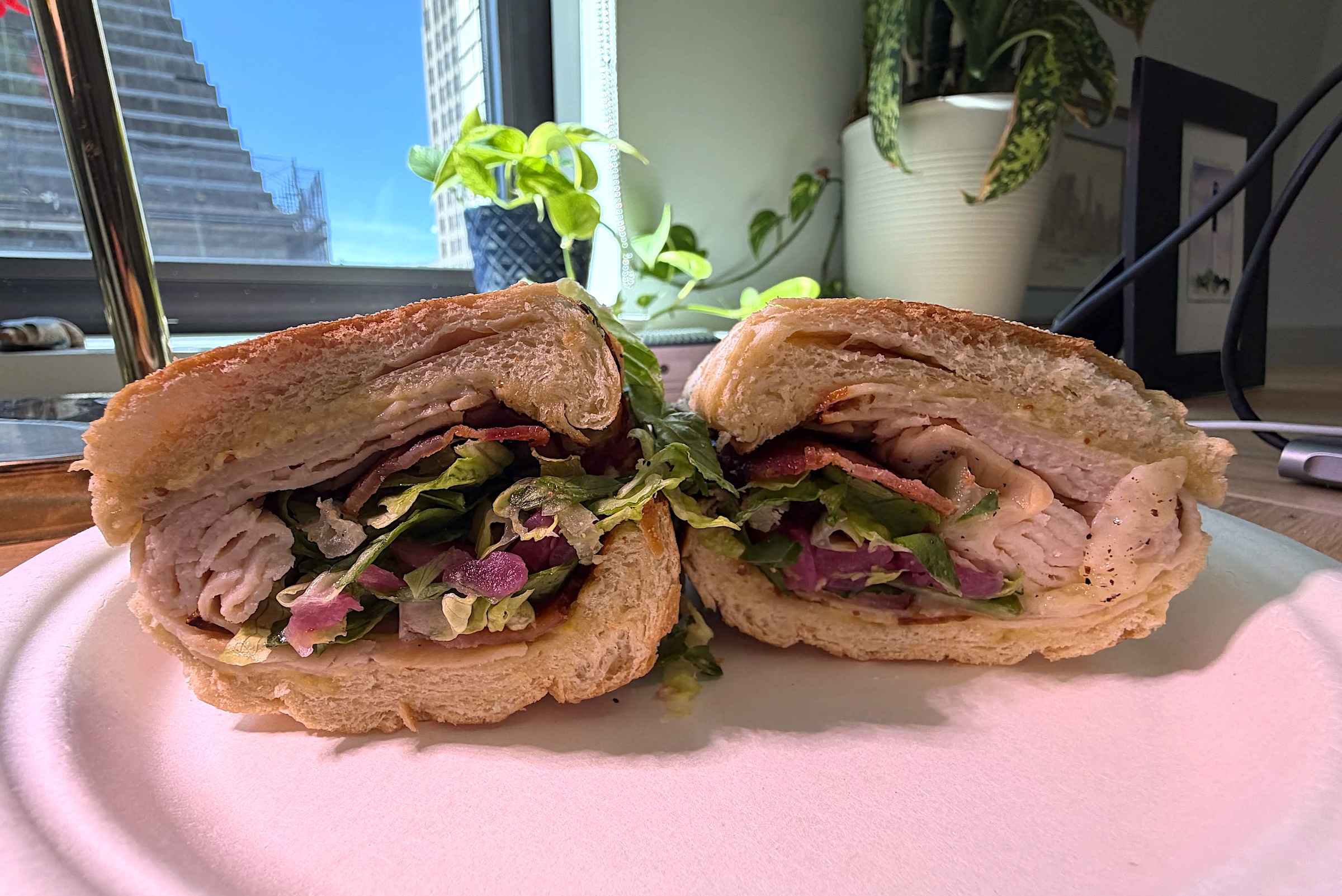 A close-up view of two halves of a large sandwich served on a paper plate, filled with sliced turkey, crisp bacon, lettuce, red cabbage, and dressing on crusty bread. Potted green houseplants and a window with natural sunlight sit in the background.   