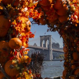 Ghouls Just Wanna Have Fun: Your Downtown Fall Guide