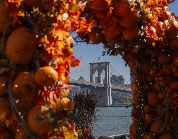 Ghouls Just Wanna Have Fun: Your Downtown Fall Guide