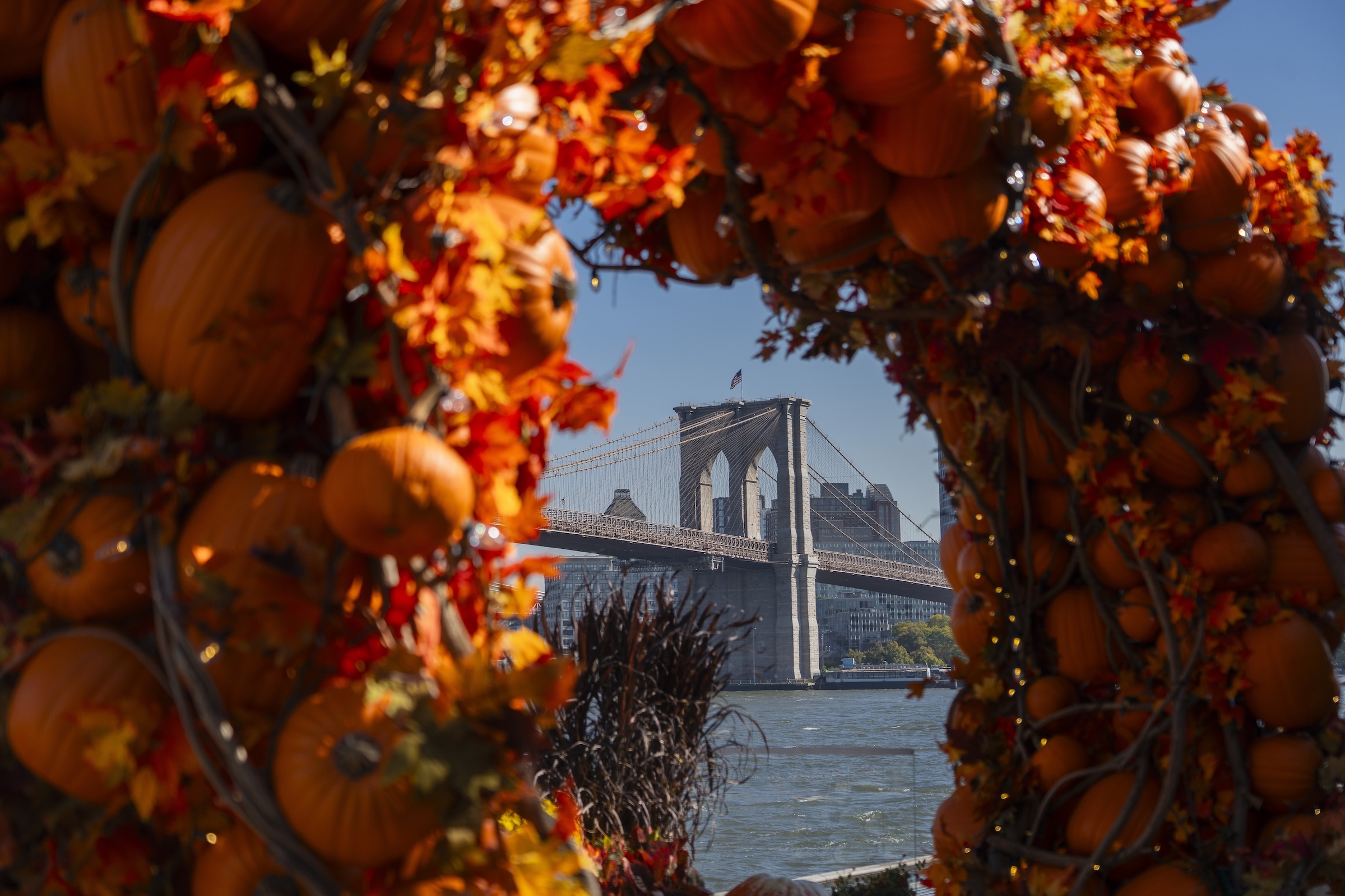 Ghouls Just Wanna Have Fun: Your Downtown Fall Guide